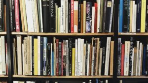 A vibrant bookshelf filled with diverse hardcover books in a cozy library setting.